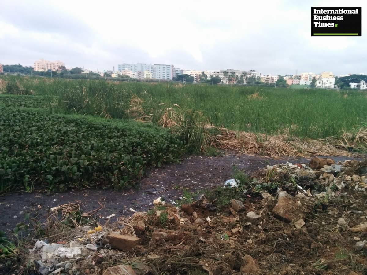 Polluted Kaggadasapura Lake Kaggadasapura Lake