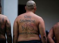 Mara Salvatrucha