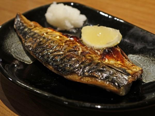 Mackerel, oily fish,