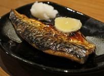Mackerel, oily fish,