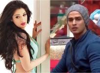 Julie 2 Raai Laxmi and Bigg Boss 11 Priyank Sharma