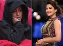 Hina Khan and Gauahar Khan