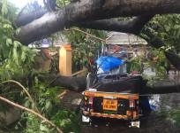 Cyclone Ockhi