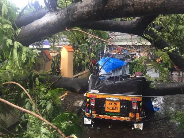 Cyclone Ockhi led to uprooted trees and electric poles in Kanyakumari and parts of Tamil Nadu since Wednesday night. cyclone in tamil nadu