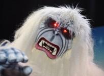 yeti