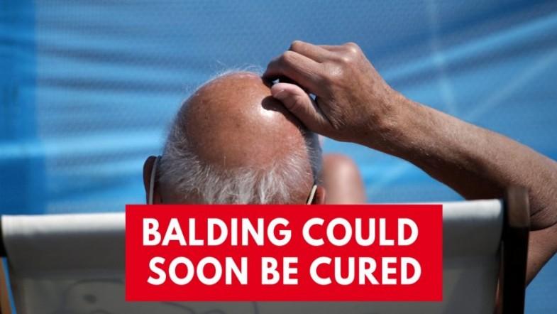 Best Way To Regrow Hair In The Offing Permanent Hair Fall