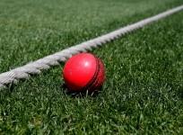 pink ball