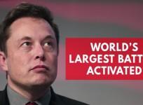 Elon Musk wins bet as Tesla mega-battery is built in just 60 days