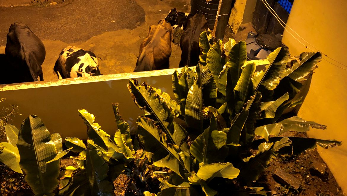 Apple iPhone 8 Plus camera sample taken in the night with street lights on Apple, iPhone 8 Plus, review, camera, sample