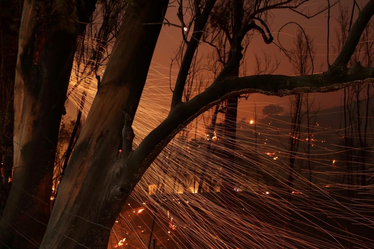 Embers blow from burned trees as strong winds push the Thomas Fire across thousands of acres near Santa Paula, California, U.S., December 5, 2017 California wildfire