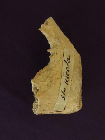 Relic of St Nicholas (pelvis fragment) at St. Martha of Bethany Church/Shrine of All Saints, Morton Grove IL, USA. Relic of St Nicholas