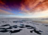 Antarctica