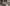 Shot on OnePlus 5T Portrait