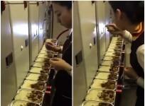 air hostess eating meals