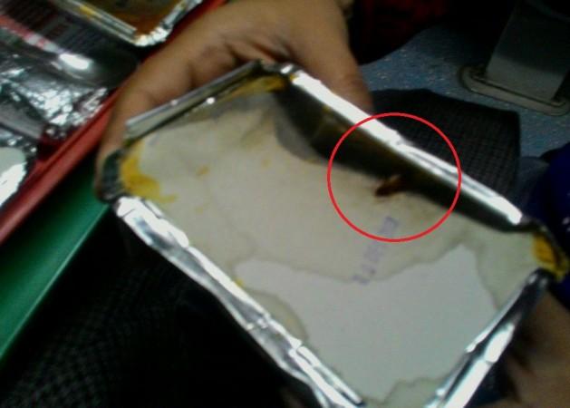 In picture: The live cockroach seen in the vegetarian food served to Manjulika Pramod on the Lucknow-Delhi Shatabdi Express on December 9, 2017. Cockroach