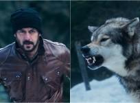 Salman Khan in Tiger Zinda Hai