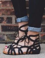 women's gladiators