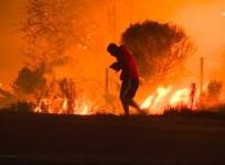 Dramatic moment man rescues rabbit from California wildfires