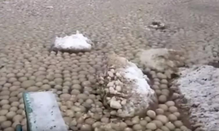 Uniformly sized mysterious ice balls washed up on shores in Russia Mysterious Phenomenon