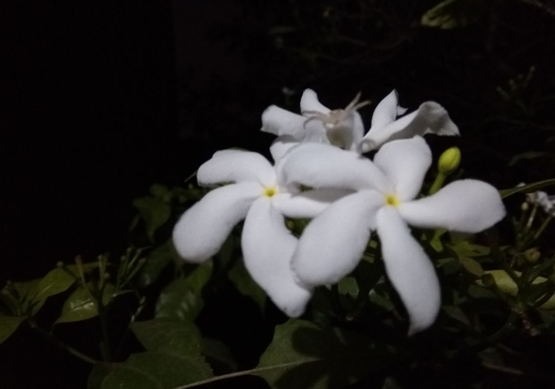 Xiaomi Redmi Y1 camera sample taken in the night Xiaomi Mi Mix 2, Review, display, design, performance