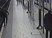 Compilation Of Drunken Travelers Falling On To Train Tracks