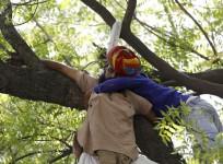 Farmers' Suicide in India