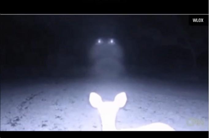 ufo sighting,