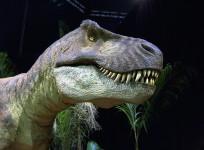 dinosaur