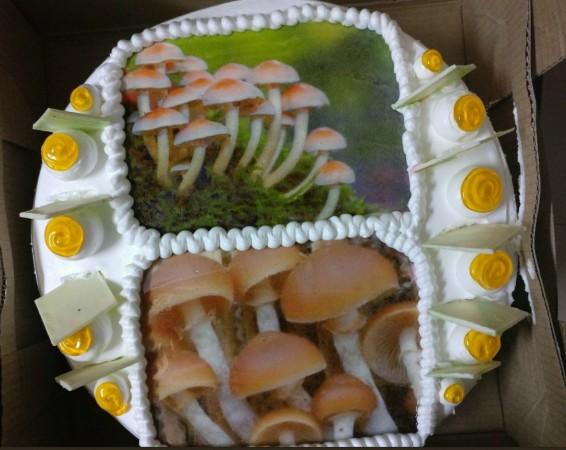 BJP leader Tejinder Bagga distributed a mushroom cake to mark the victory of the party in Gujarat and Himachal Pradesh. mushroom cake