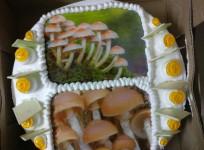 mushroom cake