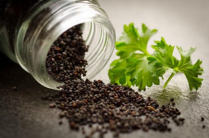 Representational Image poppy seeds