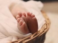 baby 2