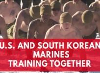 US and South Korean marines get together to train for winter warfare