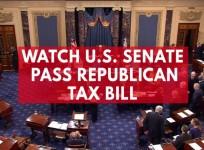 Watch US Senate pass Republican tax bill
