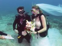 Wedding vows written on an underwater tablet to Thomas Mould and Sandra Hyde during their wedding ceremony on Thursday.