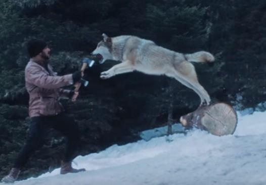 Tiger Zinda Hai Still Tiger Zinda Hai Still