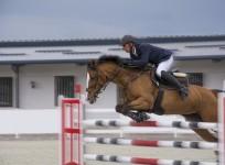 super-horses