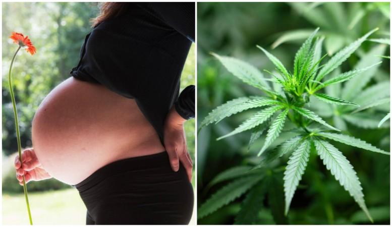While in many states, medical marijuana is prescribed to deal with certain symptoms of pregnancy, such as severe nausea and pain, still the American College of Obstetricians and Gynecologists recommends women stay away from weed if they want to have a baby. pregnant women using marijuana