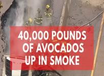 40,000 pounds of avocados catch fire In Texas