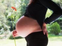 pregnant