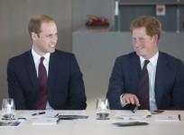 Prince William Prince Harry