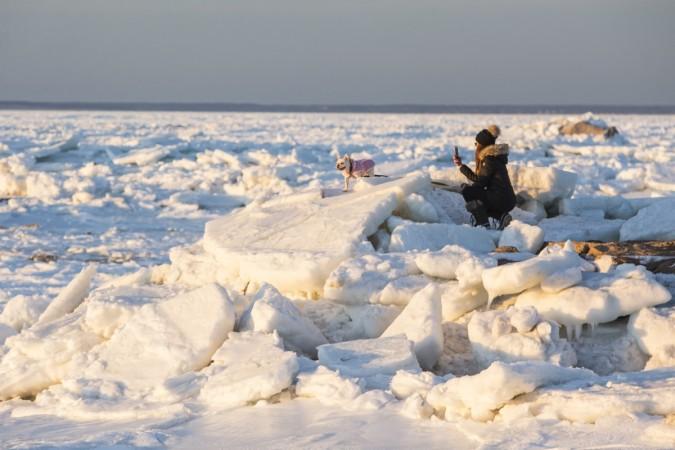 A woman photographs her English Bull Dog on a jetty next to an ice covered Cape Cod Bay near Rock Harbor on January 3, 2018 in Orleans, Massachusetts US snow