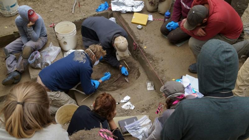 Prehistoric DNA of Alaskan infant reveals new group of Native Americans. Native American