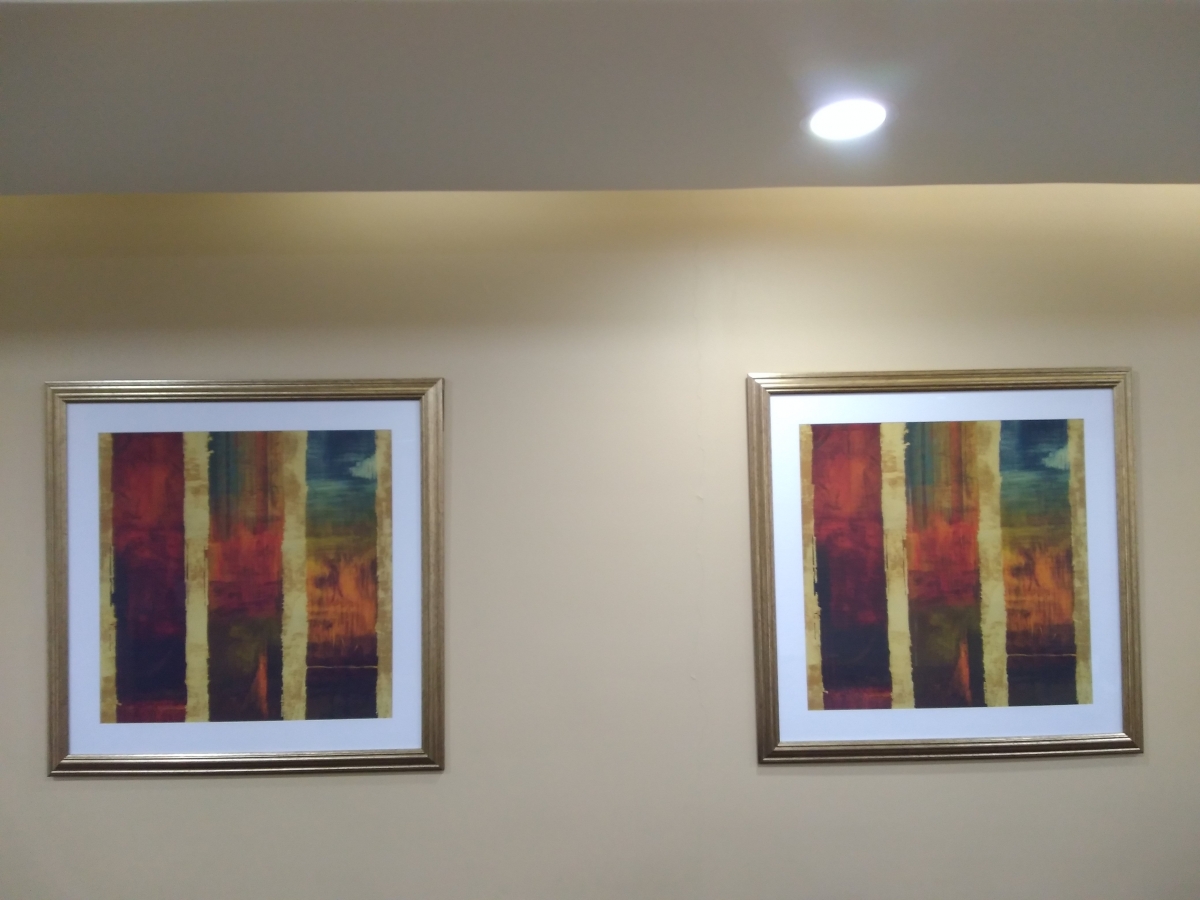 10.or D Review : Camera sample