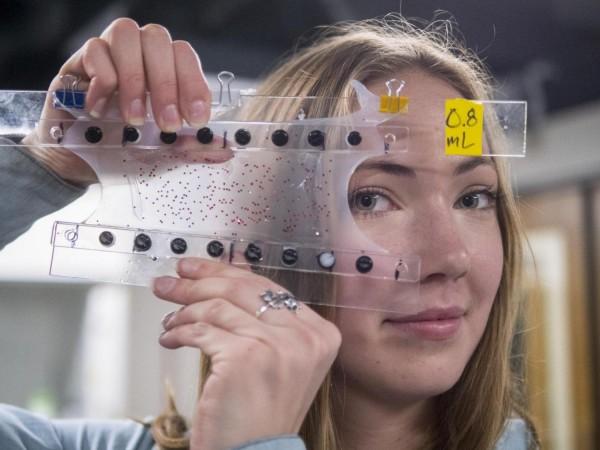 A sample of rubberized Self-healing muscle for robots