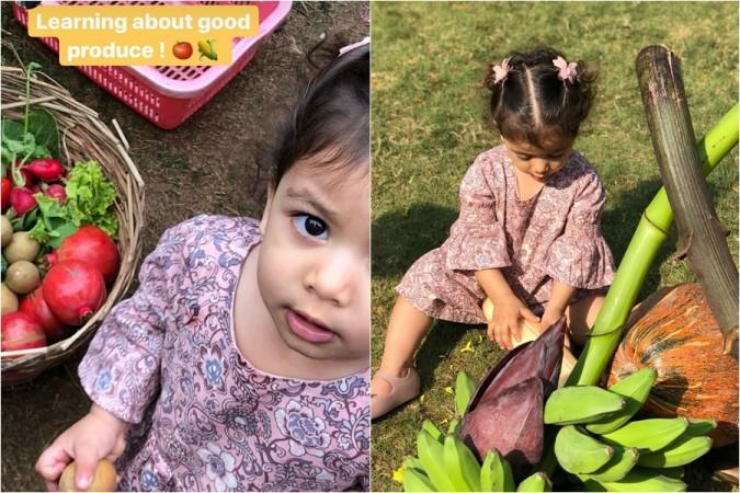 Misha Kapoor