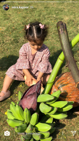 Misha Kapoor