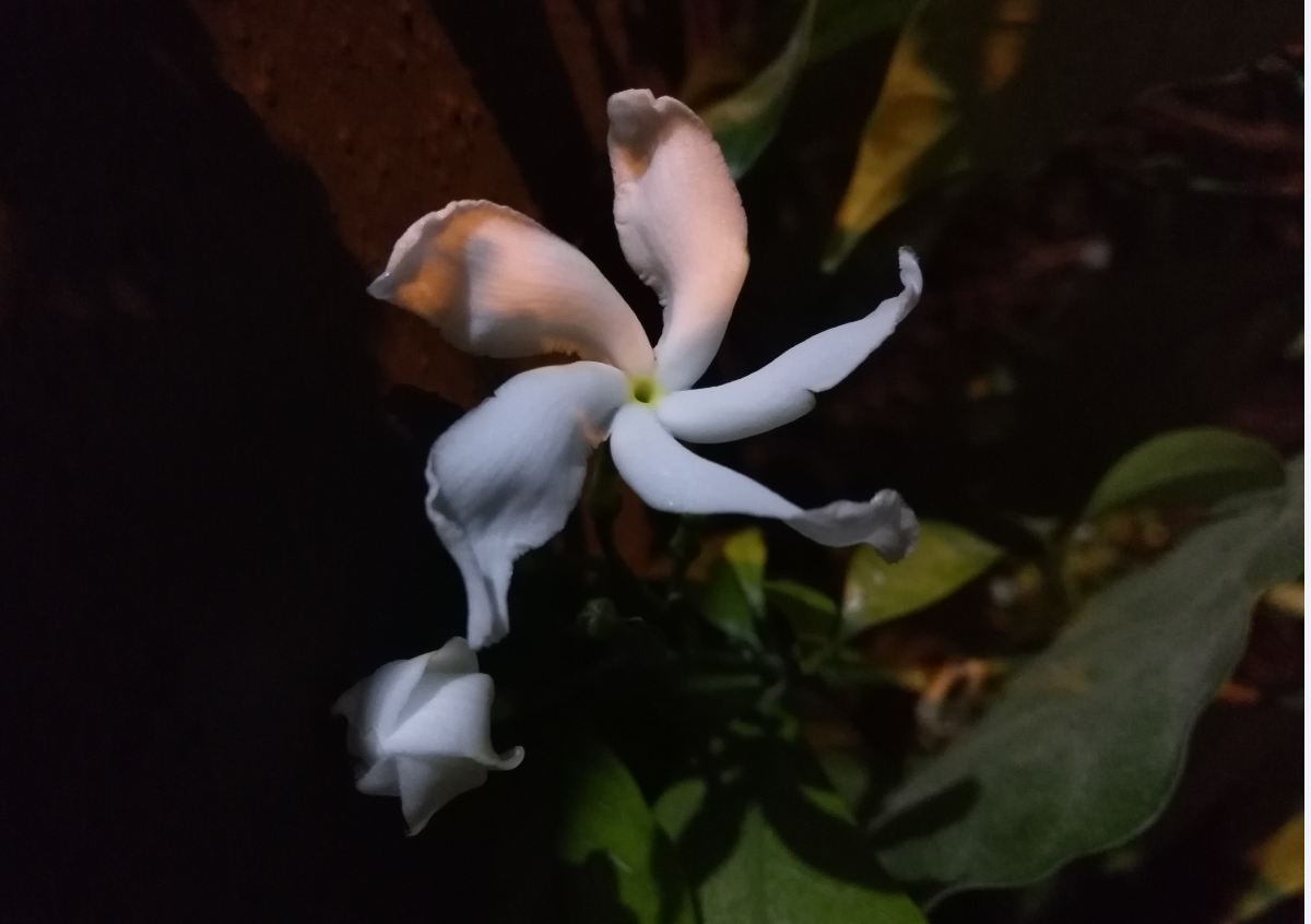 Huawei, Honor 7X, review, design, build quality, performance, battery life, India launch, first impression