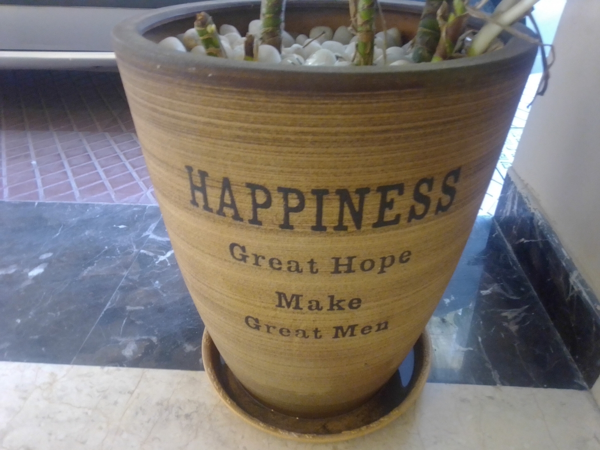 Leagoo T5C Review: Camera Samples