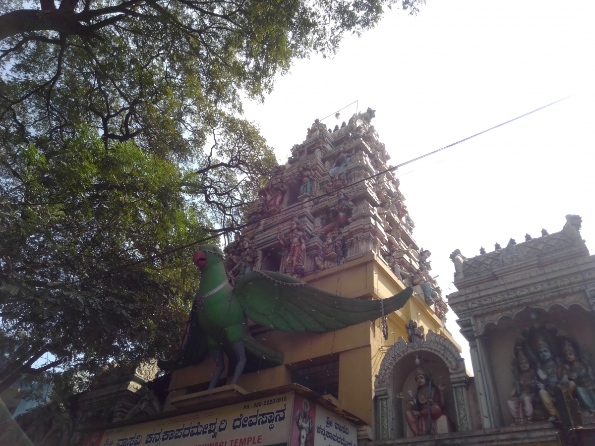 Leagoo T5C Review: Camera Samples